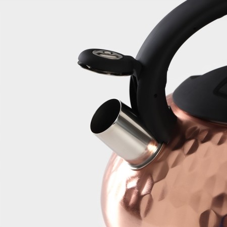 A kettle with a stainless steel stainless steel Magistro Glow, 3 L, Induction, Soft-Touch handle, Bronze color-3