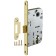 Fuaro Plastic P85C-50 SG castle case, matte gold color