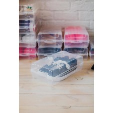 Box for storing the shoes 