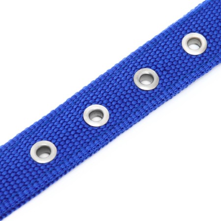 Collar "Comfort" Combined, 55 x 2.5 cm, Osh 40-50 cm, blue-5