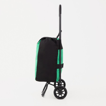Carrier-house bag on cord, green color-1