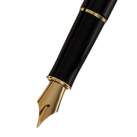 Gift feathers Calligrata, in the leatherette case PB S, black body with gold-3