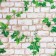 Film self -adhesive brick with a bindweed 10m*45cm