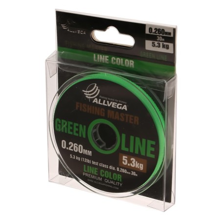Monophile Fine Allvega Fishing Master, diameter 0.260 mm, test 5.3 kg, 30 m, green-1
