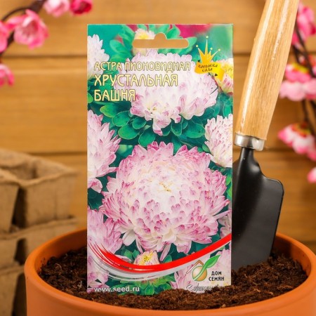 Flowers Astra Pionovid "Crystal Tower" House of Seeds, o, 80 pcs-2