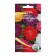 Seeds of flowers Astra Pionovid mixture, o, 0.2 g