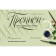 Records from line to letter. Issue 3. Tikhomirova G.