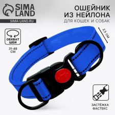 Ошейник из нейлона с фастексом 2,5 см, цв синий