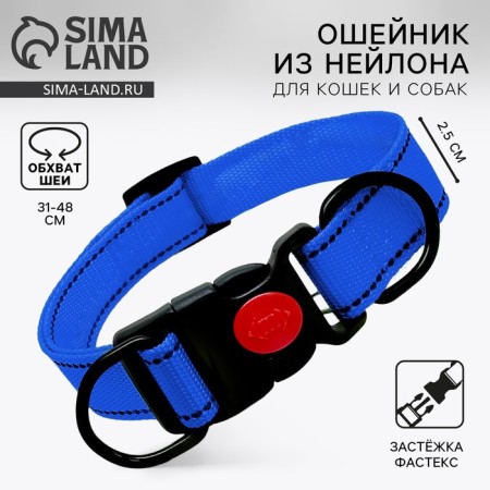 Nylon collar with fastex 2.5 cm, b blue