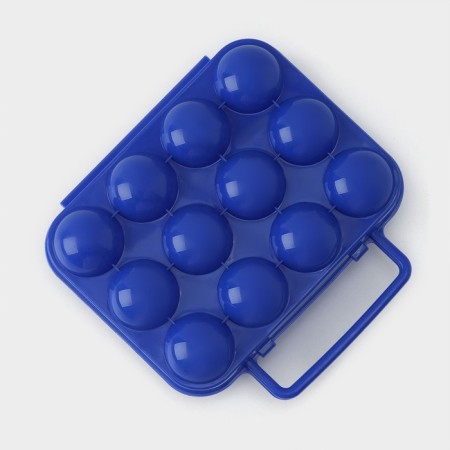 Container for storing eggs with a handle, 20 × 7 cm, 12 cells, color mix-2