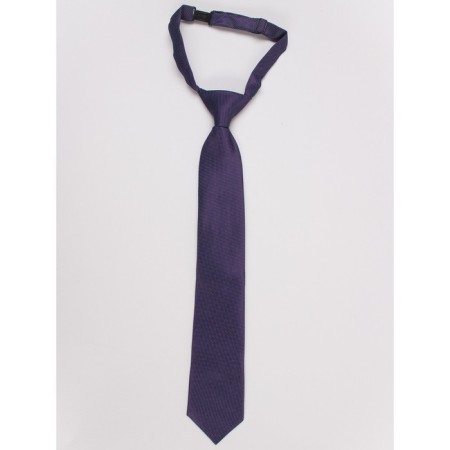 ISEE boys tie, purple color, blue