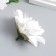 Budon on the leg for decoration "dahlia oozing white" d = 7 cm