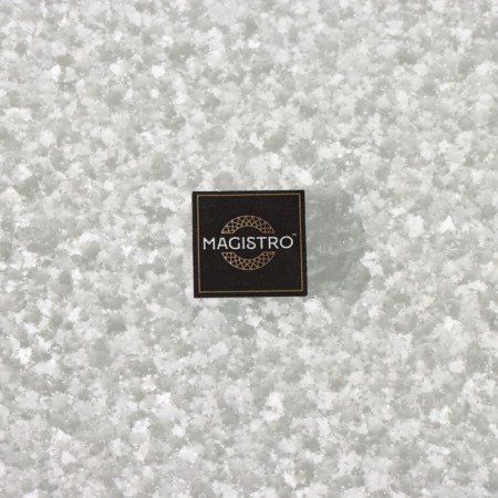 Glass Serving Magistro "Avis", 27 × 15 × 3.5 cm-5