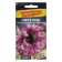 Flowers of Petunia "Excellent Rosea", undersized giants, this. ALT, c/n, 10 pcs