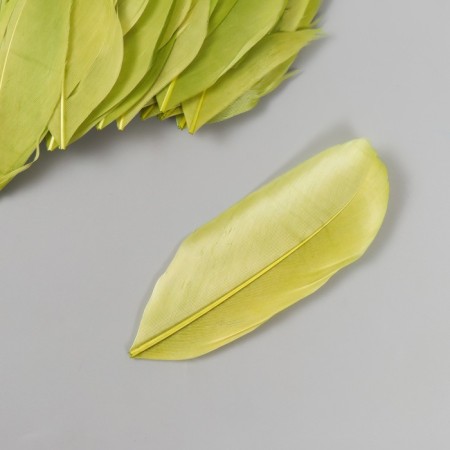 Decorative goose "Green" in the shape of a sheet set 40 pcs h = 5-7 cm-2