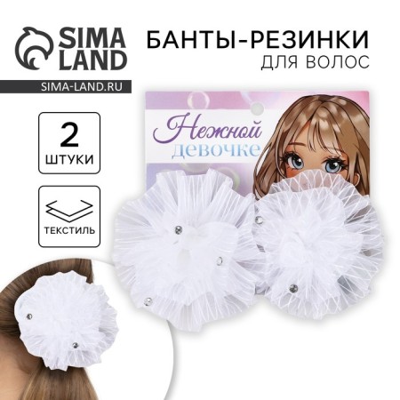Bant for hair "Tender Girl" School, 2 pcs.
