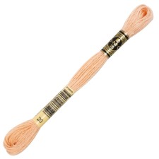 The threads of the DMC 117 (020), 12 pcs. packaged