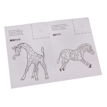 Animals of hot countries (with stickers)-1