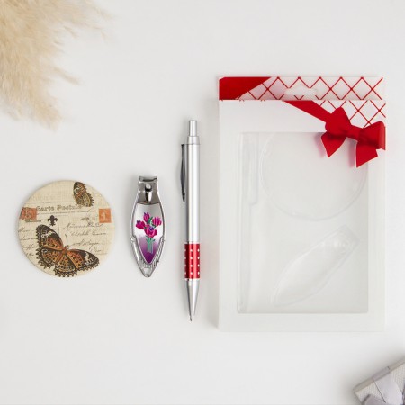 Gift set 3v1 (pen, mirror, nippers)