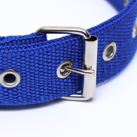 Two -layer collar with a swivel 58 x 3 cm, polyester, blue-2