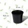 Pot for seedlings, 1 l, d = 13 cm, h = 10.5 cm, black, Greengo