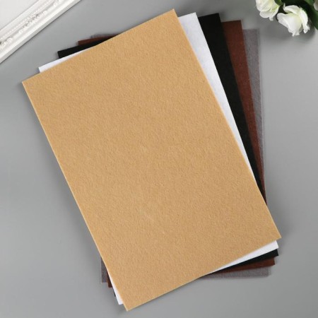 VETR "Blitz" 2.2 mm, hard 20x30 cm ± 2 cm (set 5 pcs) Assorted No. 5