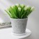 Pot for the flowers of the share "Kracle", 800 ml, the color is gray