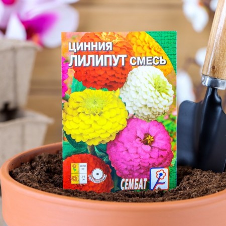 Seeds of Tsinnia "Liliput" mixture, 0.3 g