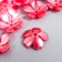 Beads for creativity plastic "Flower Pearl" set 40 pcs red 1.5x1.5 cm