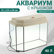 Aquarium 