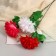 Artificial flowers "Peony" D-14 cm 55 cm, mix
