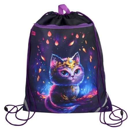 A bag for shoes with a pocket of 480 x 360 mm, a phoenix, a reflective strip, with a “magic cat” handle