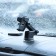 Phone holder on suction cup, sliding 6.5-10 cm, black