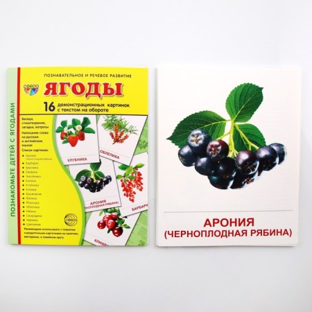 Demonstration pictures. Berries.. 16 demonstration pictures with text. 174x220 mm-3