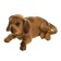 Dog on a car panel shocking his head, a large, brown color