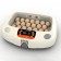 Incubator, 20 eggs, automatic coup, 220 V, RCOM