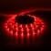Smart LED strip Nitebird, 12V, SMD5050, 30 LED/m, 5 m, IP20, Wi-Fi, RGB