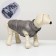 Dog jacket two -sided with print, size 8 (ds 23 cm, og 30, osh 22 cm), gray