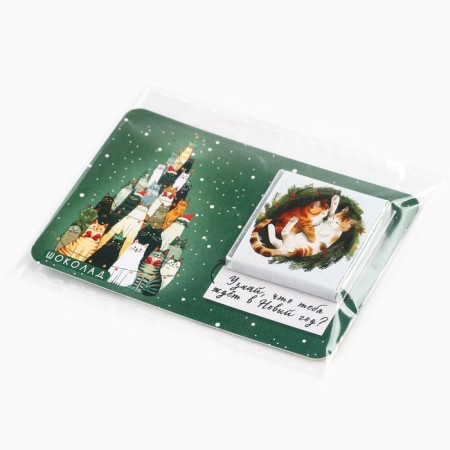 Chocolate with the prediction of the "cats", 5g-5