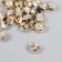 Buttons plastic for creativity on the leg "heraldic lily" gold set 30pcs 1.2x1.2 cm 94135