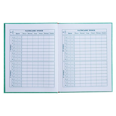 Diary for grades 1-4, 48 sheets "cat pranks", hard cover, glossy lamination, foil embossing-6