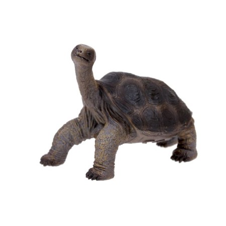 Figure "Abingon ivory Turtle"