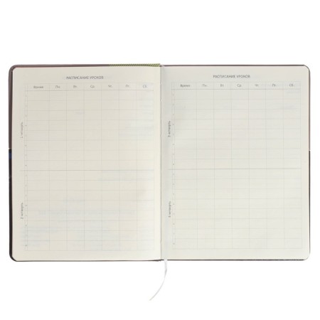 Universal Diary of the 1-11 class of Neon, solid cover, artificial leather, colored cut, silk-screen printing, lies, block 80 g/m2-4