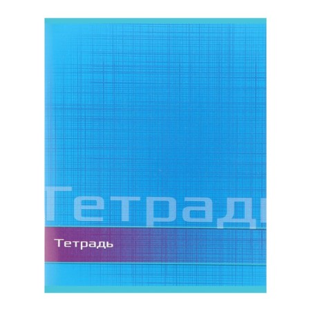 Notebook of 48 sheets in the Calligrata line "Color and graphics", cover coated paper, block No. 2, whiteness 75% (gray sheets), mix-3