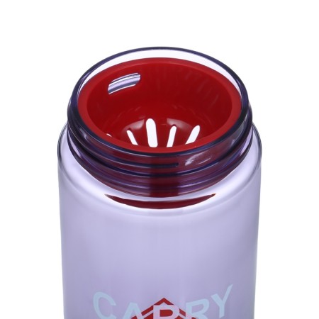 Water bottle, 550 ml, 22.5 x 6.7 cm, sieve, purple-2