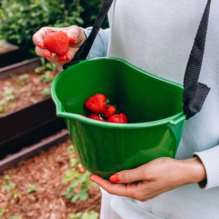 Berry collection container, 3 l, dark green-11