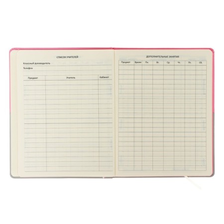 Universal diary for grade 1-11 CAT, hard cover, artificial leather, silk-screen printing, liesse, 80 g/m2-5