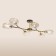 Cutilux Cutilux chandelier CL117165 96x57x19.5 cm, 6x40W, E14, Black Color Black