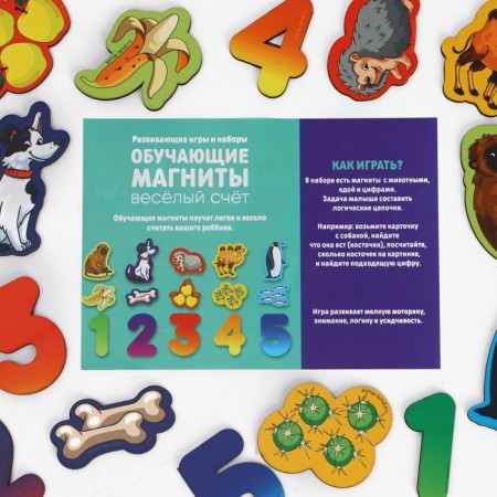 Developing magnets "Funny account"-5