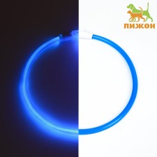 Collar - backlight ring, charging from USB, up to 70 cm, 3 glow modes, blue